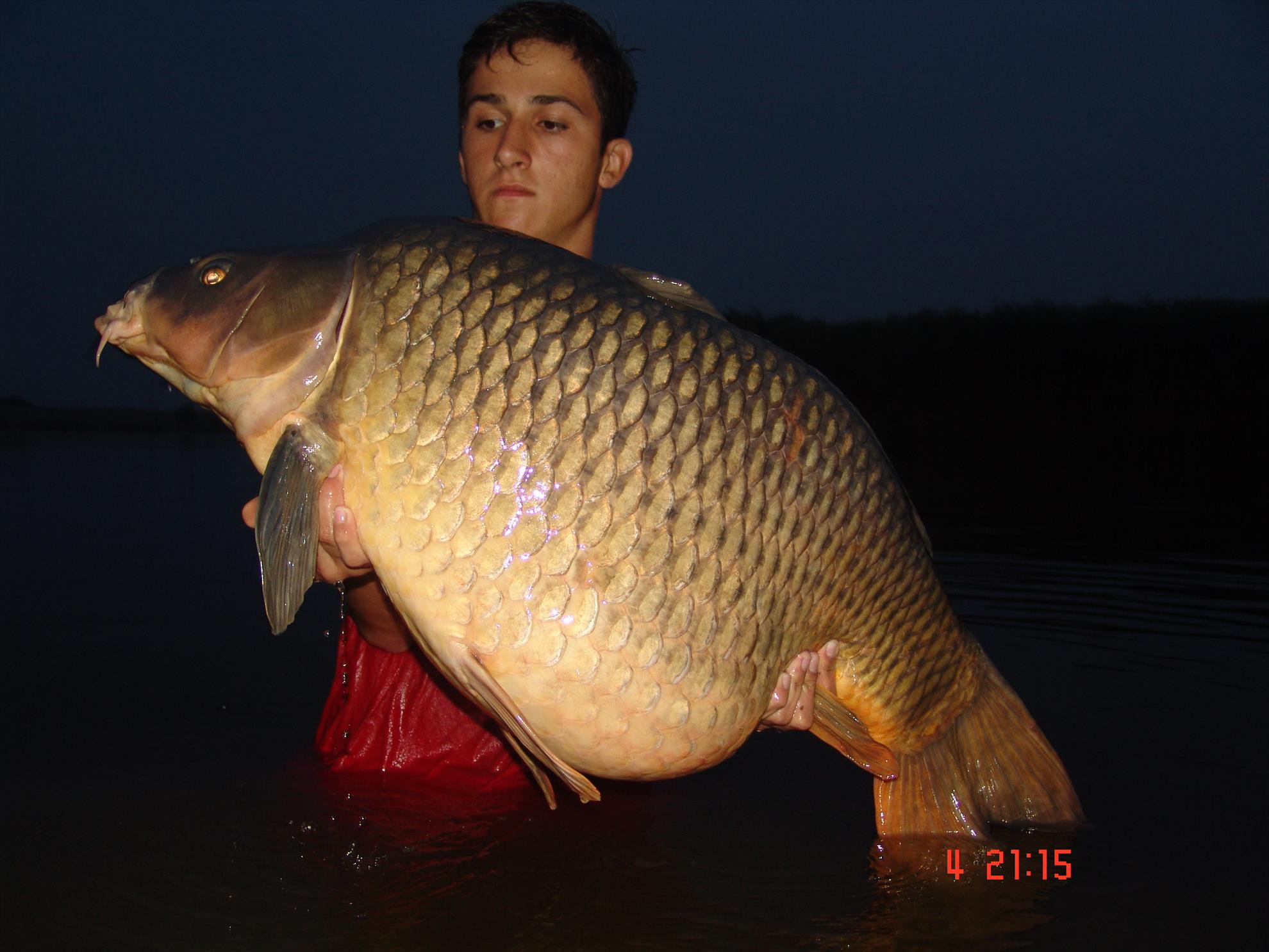 SENZOR OLDIES - dsc07607.JPG